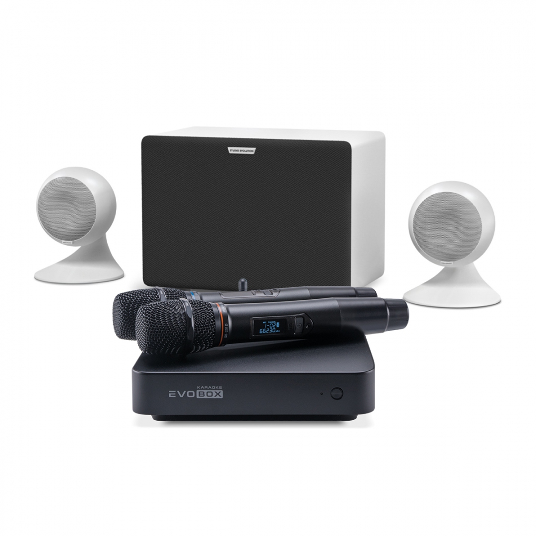 караоке-комплект EVOBOX Classic + EvoSound Sphere 2.1 в Снежинске