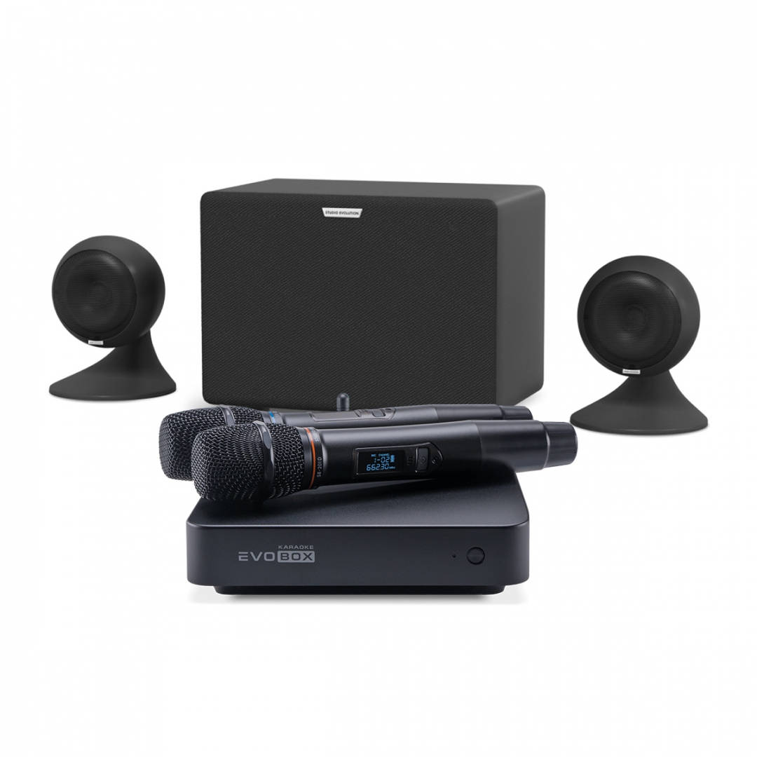 караоке-комплект EVOBOX Plus + EvoSound Sphere 2.1 в Снежинске