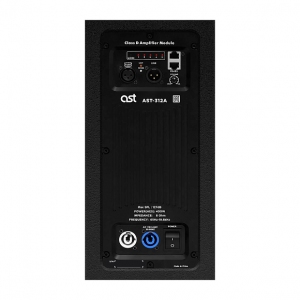 Активная акустическая система AST-312A в Снежинске