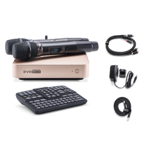 EVOBOX Classic караоке-система для дома в Снежинске