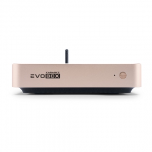 EVOBOX Plus караоке-система для дома в Снежинске