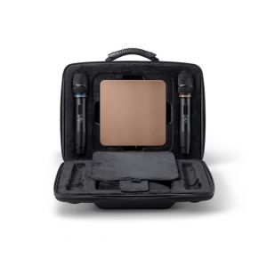 EVOBOX Plus караоке-система для дома в Снежинске