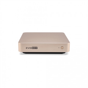 EVOBOX с микрофонами в Снежинске